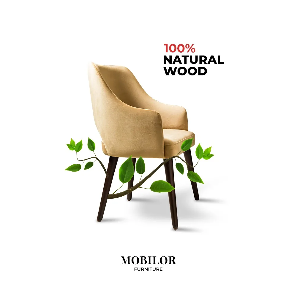 Mobilor furniture